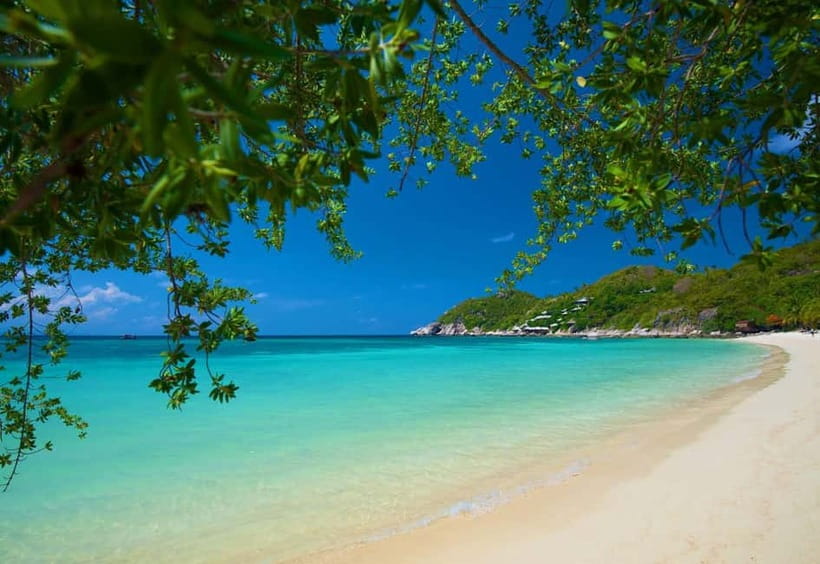 Koh Tao: First Light Snorkel Adventure with Oxygen Tours - Why the early start matters at Koh Tao