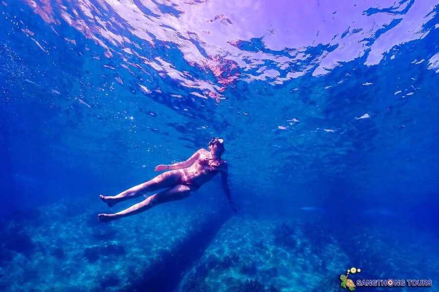 Koh Tao: Islands Snorkeling Highlights Day Tour & Lunch - What the tour does well, and where it falls short