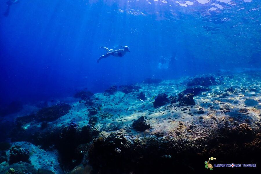 Koh Tao: Islands Snorkeling Highlights Day Tour & Lunch - Koh Nangyuan gives you the postcard moment