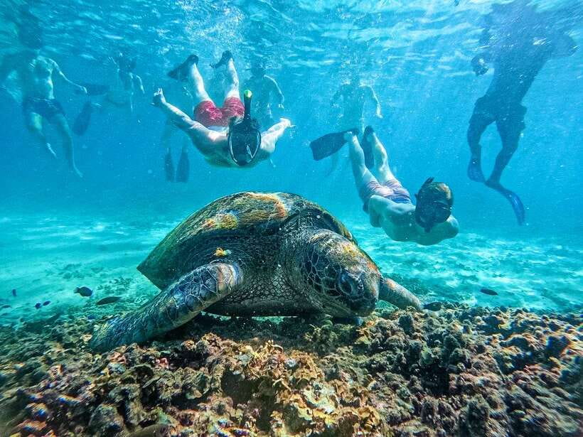 Koh Tao: Koh Nangyuan & Hidden Bays Snorkeling Tour w/ Lunch - Key points to know before you book