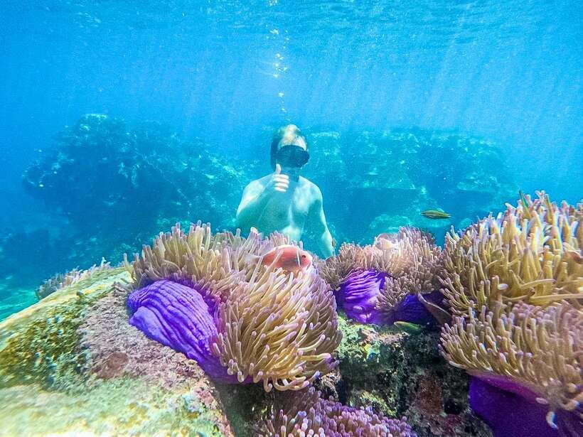 Koh Tao: Koh Nangyuan & Hidden Bays Snorkeling Tour w/ Lunch - What the $27 price really gets you