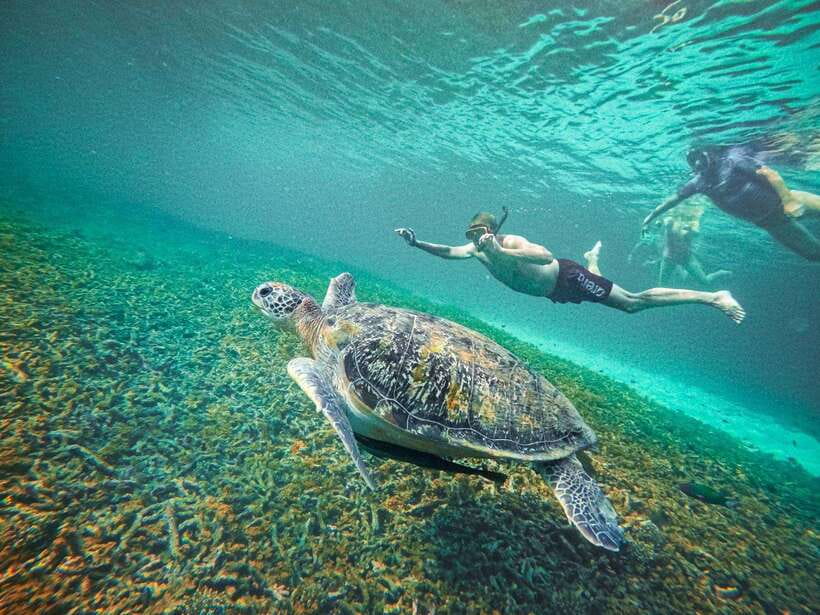 Koh Tao: Koh Nangyuan & Hidden Bays Snorkeling Tour w/ Lunch - The crew makes the difference