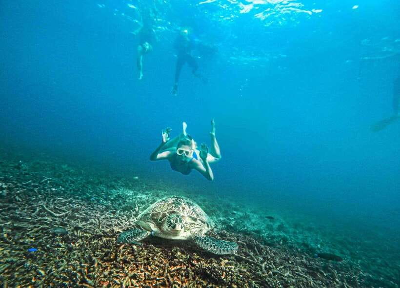 Koh Tao: Koh Nangyuan & Hidden Bays Snorkeling Tour w/ Lunch - What the snorkeling is really like