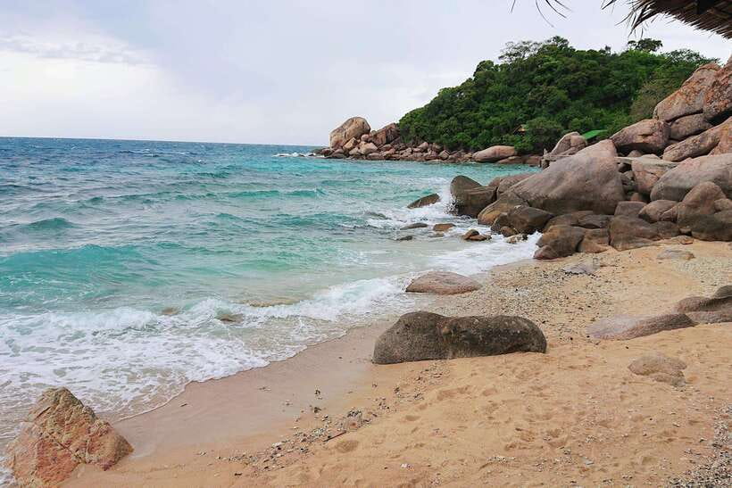 Koh Tao: Premium Snorkel Tour to Koh Nangyuan Bays by Oxygen - Japanese Garden offers an easy first snorkel