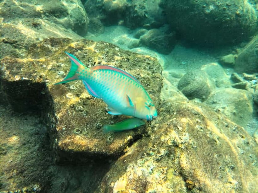 Koh Tao: Snorkeling and Sunset Tour - What is included, and what you still need