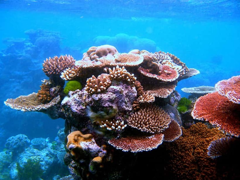 Koh Tao: Snorkeling and Sunset Tour - Who should book this experience?