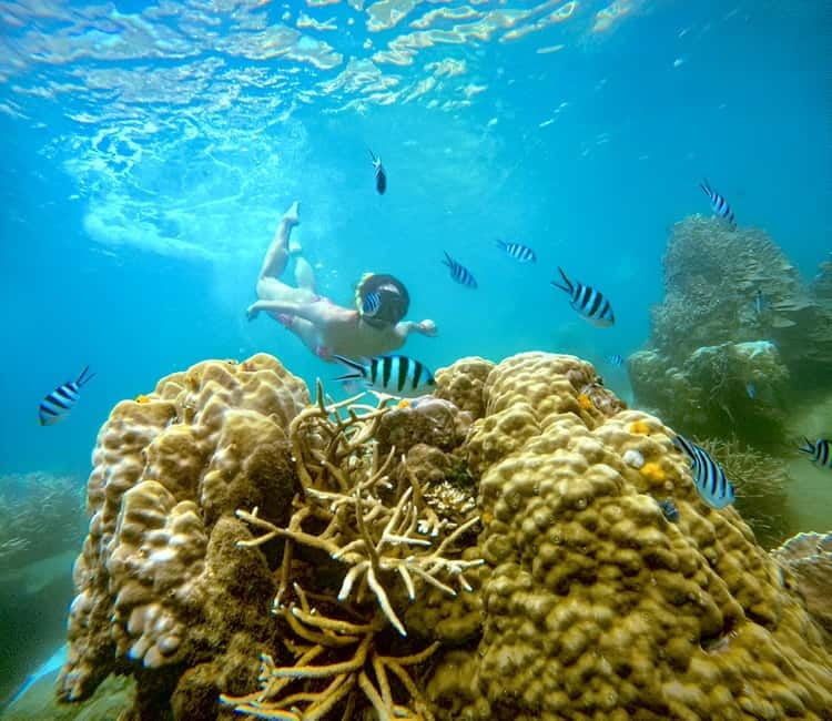 Koh Tao: Snorkeling Trip to Nang Yuan Island & Hidden Bays - Lunch and free time at Mango Bay