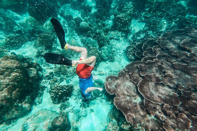 Koh Tao VIP Snorkelling Tour - The 90-minute ride from Koh Samui to Koh Tao