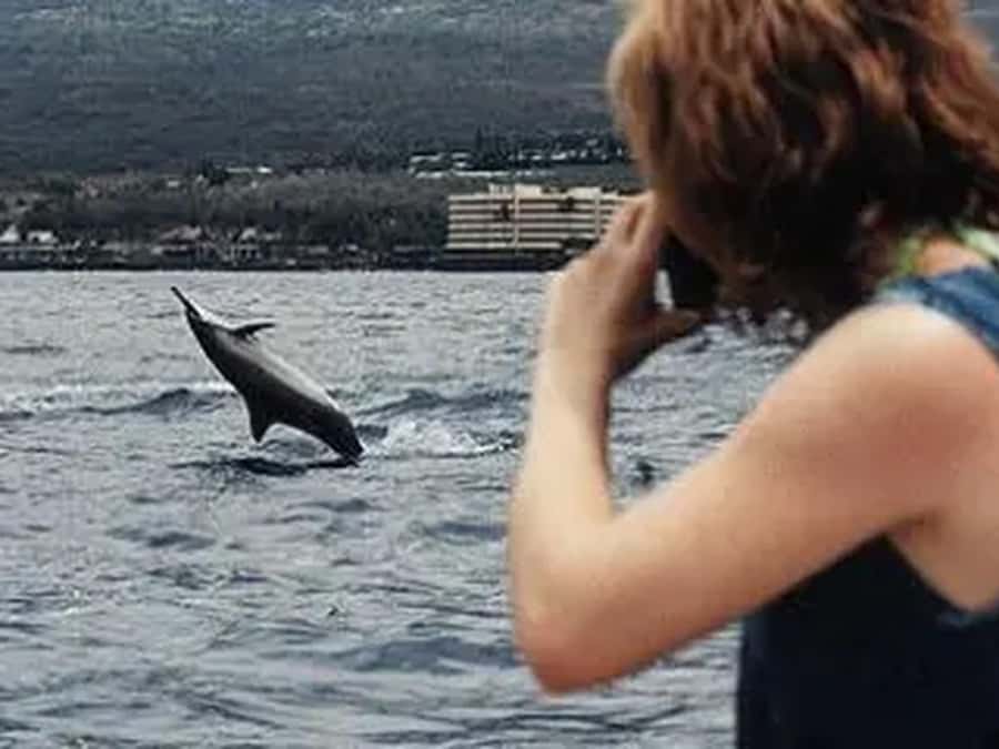 Kona: Captain Cook Snorkel Tour - Who should book this Kona excursion?