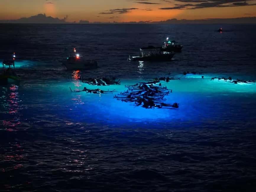 Kona: Manta Ray Night Snorkel Adventure - Key points to know before booking