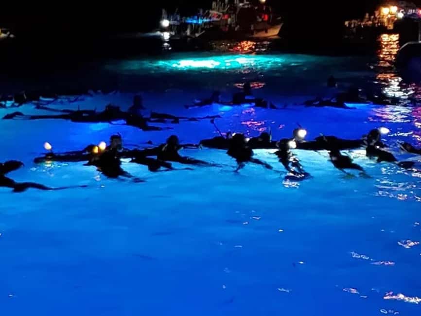 Kona: Manta Ray Night Snorkel Adventure - Starting at the Dolphin Discoveries shop