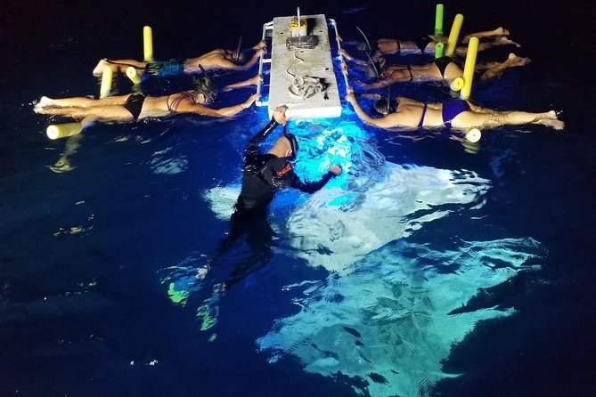 KONA Manta Ray Night Snorkel - FREE re-ride if no Sightings - Quick points before you book
