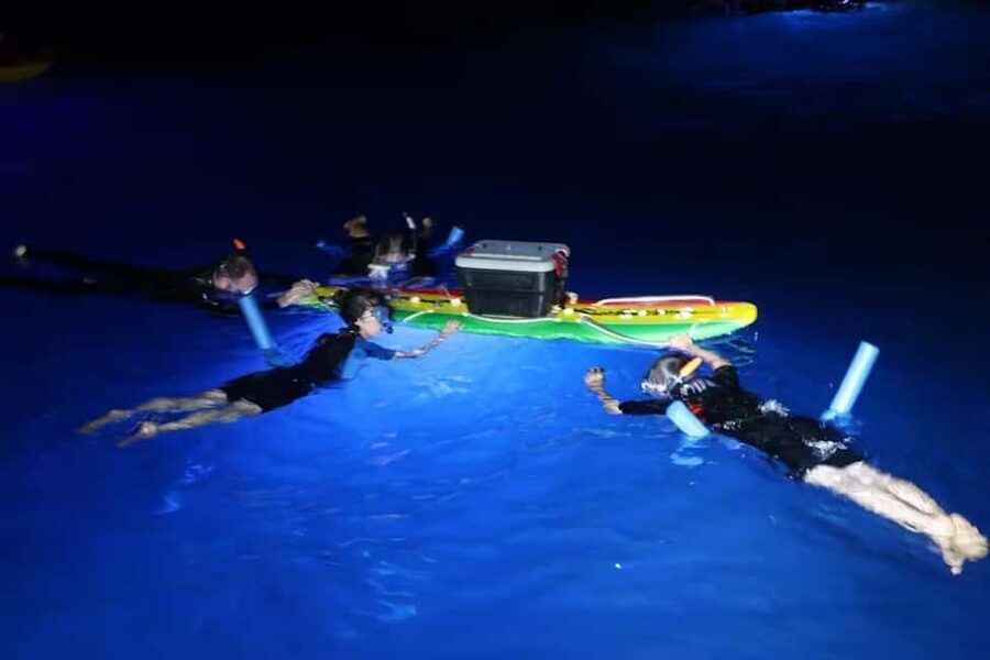 Kona: Manta Ray Snorkel Tour, Guaranteed or Come Again Free - Why the 14-person limit matters