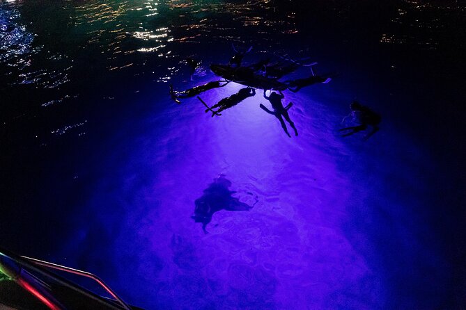 Kona Night Manta Snorkel Tour - Leaving from 247 Kealakehe Parkway