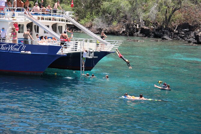 Kona’s Best Morning Snorkel: Captain Cook & Kealakekua Bay - Fish, coral, dolphins, and the limits of wildlife promises