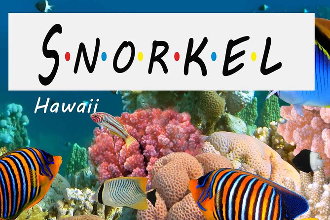 Kona Shore Excursion: Wild Dolphin Reefs Snorkel and Sea Caves - Why Kealakekua Bay is the prize
