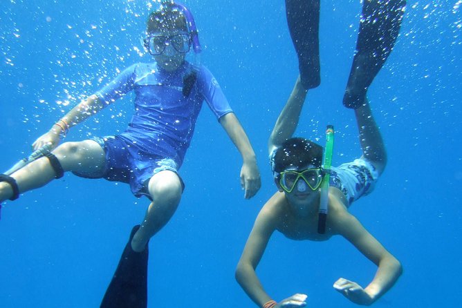 Kona Shore Excursion: Wild Dolphin Reefs Snorkel and Sea Caves - Sea caves, lava cliffs, and the Face of Pele