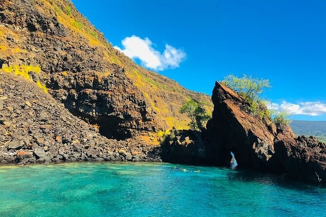 Kona Snorkel Tour: Captain Cook Reef Snorkel, Dolphin & Sea Caves - Dolphins and whales: treat them as a bonus