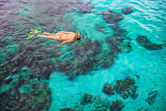 Kona Snorkel Tour: Captain Cook Reef Snorkel, Dolphin & Sea Caves - Guides, safety, and the easygoing style