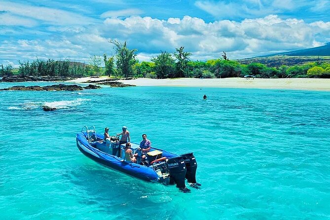 Kona Snorkel Tour: Captain Cook Reef Snorkel, Dolphin & Sea Caves - Food, gear, and what to bring