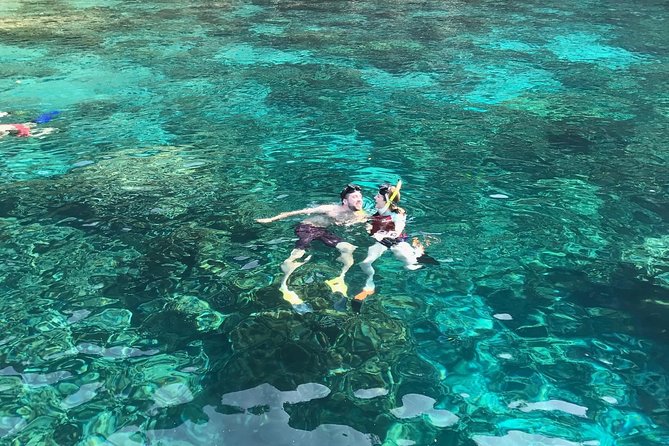 Kona Snorkeling: Beat the Crowd to Kealakekua Bay - Key points to know before you book