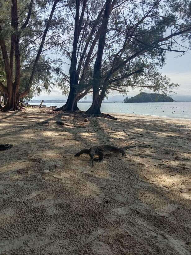 Kota Kinabalu: Manukan & Sapi Islands Snorkeling with Lunch - Why this island trip works well from Kota Kinabalu