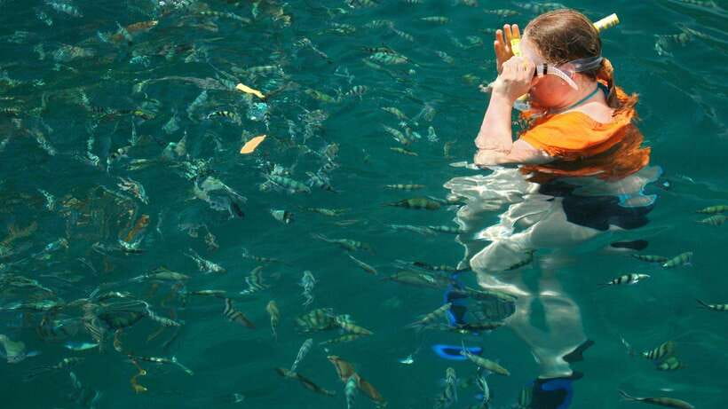 Kota Kinabalu: Snorkeling & Island Hopping Sapi & Manukan - Who will enjoy this island day