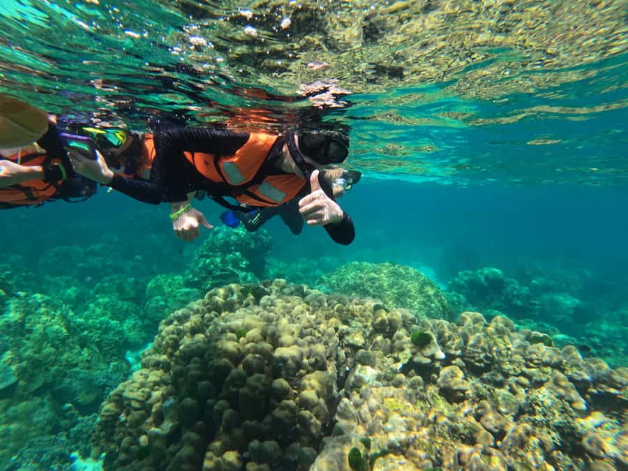 Krabi Aonang: Koh Rok & Koh Haa Snorkelling Day Trip + Lunch - Key points at a glance