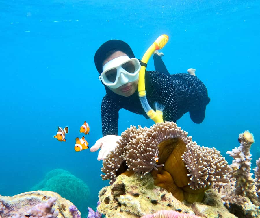 Krabi: Bioluminescent Plankton, Snorkeling & Sunset Tour - The final swim with bioluminescent plankton