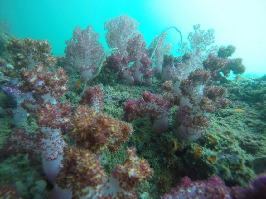 Krabi: Freediving and Snorkeling at Yawasam and Talu Island - Talu Island, cave entrance, and natural lagoon