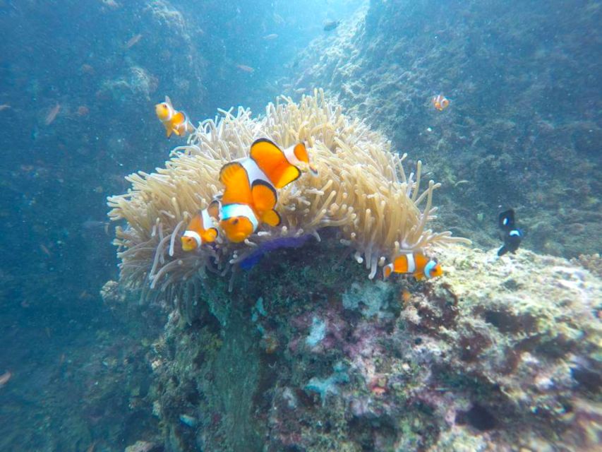 Krabi: Freediving and Snorkeling at Yawasam and Talu Island - The return past Railay