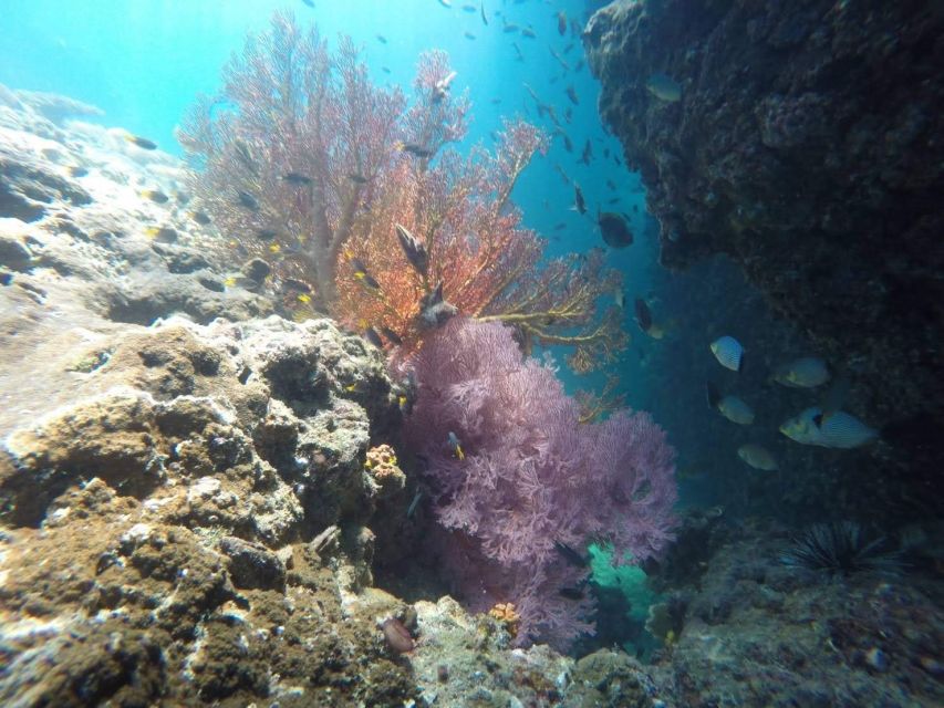 Krabi: Freediving and Snorkeling at Yawasam and Talu Island - What the $59 price really covers