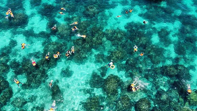 Krabi: Phi Phi and 4 Islands with Snorkeling by Speed Boat - Monkey Beach from the water