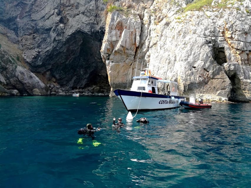 L'Estartit: Dive and Snorkeling in Montgrí Natural Park - Five things to know before you book