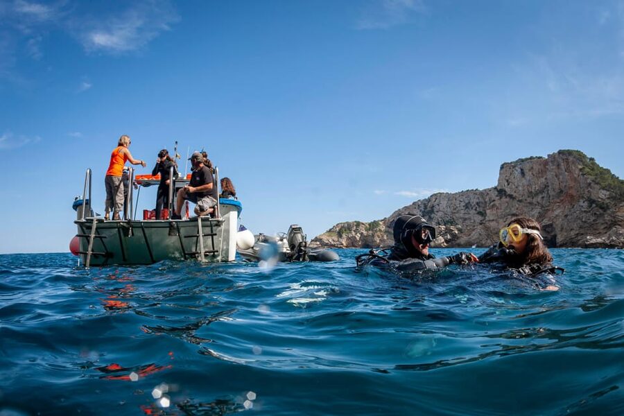 L'Estartit: Dive and Snorkeling in Montgrí Natural Park - Checking in at Medaqua and getting ready