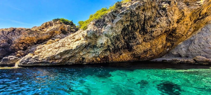 La Ciotat: Boat Tour to Cove of Var / Embiez and Snorkeling - Port de La Madrague and Madrague des Lecques