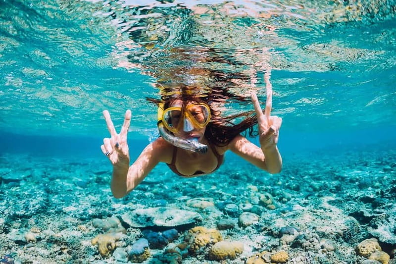 La Ciotat: Boat Tour to Cove of Var / Embiez and Snorkeling - Port d’Alon: The Scenic Centerpiece