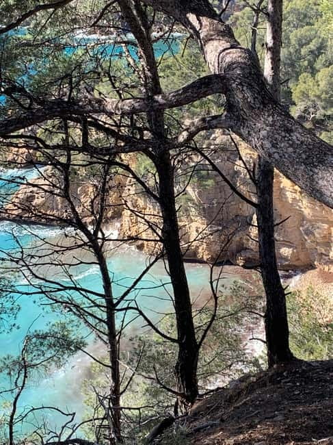 La Ciotat: Boat Tour to Cove of Var / Embiez and Snorkeling - Baie de la Moutte and the Submarine Rock