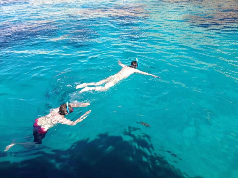 La Ciotat: Calanques Morning Boat Tour with Snorkeling - Who will get the most from this outing