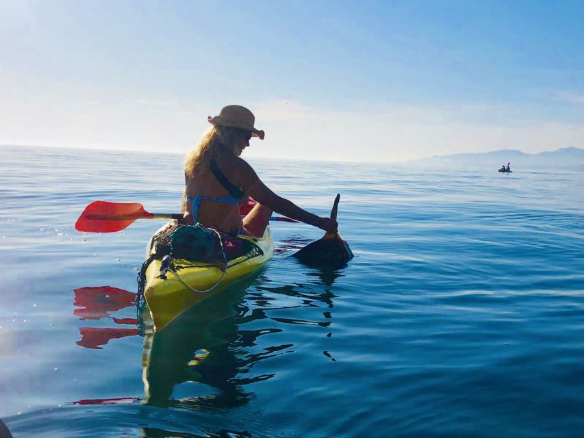 La Herradura: Cerro Gordo Natural Park Kayak & Snorkel Tour - A small-group outing with strong guide support
