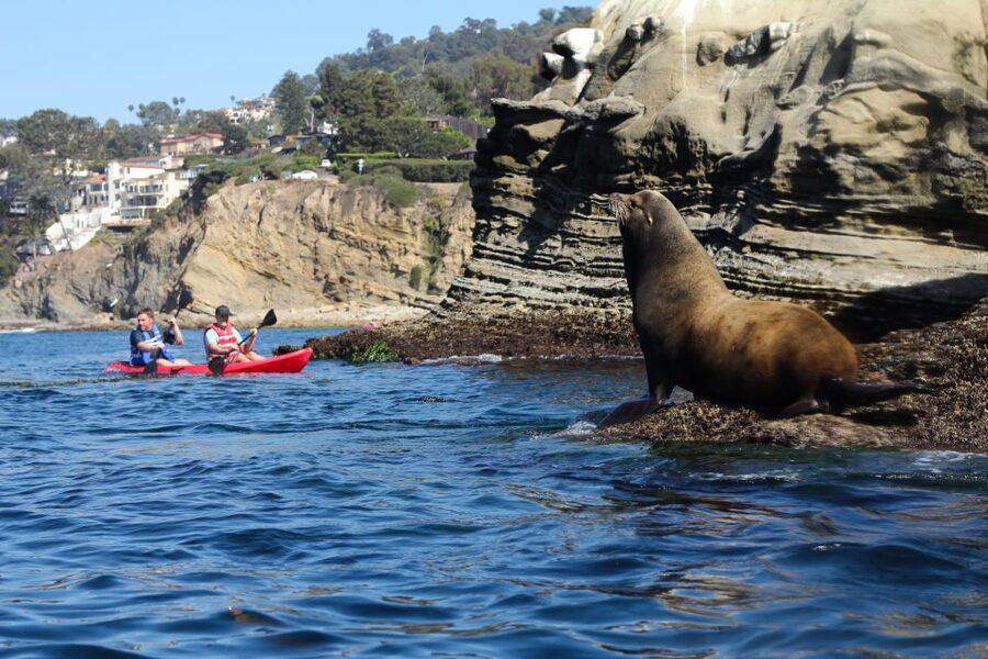 La Jolla: 2.5-Hour Kayak and Snorkel Tour - Parking and the best way to plan your arrival