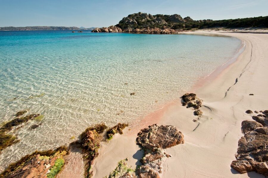 La Maddalena: afternoon snorkeling tour from Porto Pollo - Who will enjoy this tour most