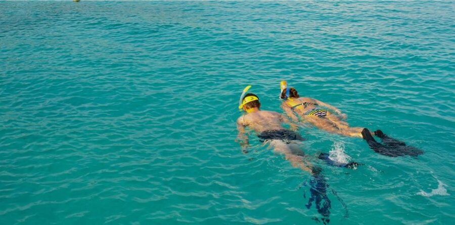 La Palma : Snorkeling Tour in Los Cancajos - Key points before you book