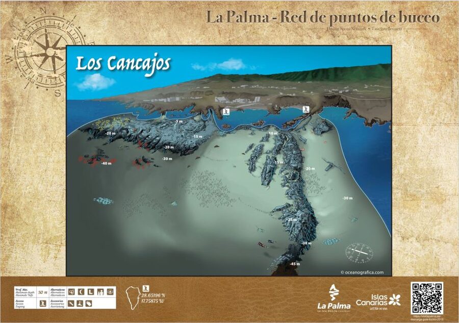 La Palma : Snorkeling Tour in Los Cancajos - The briefing and equipment fitting