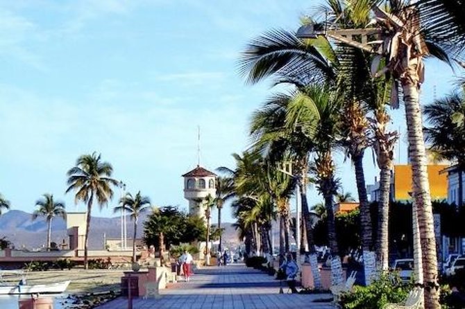 La Paz Whale Shark Snorkeling Tour and Lunch From Los Cabos - What the $259 price really covers