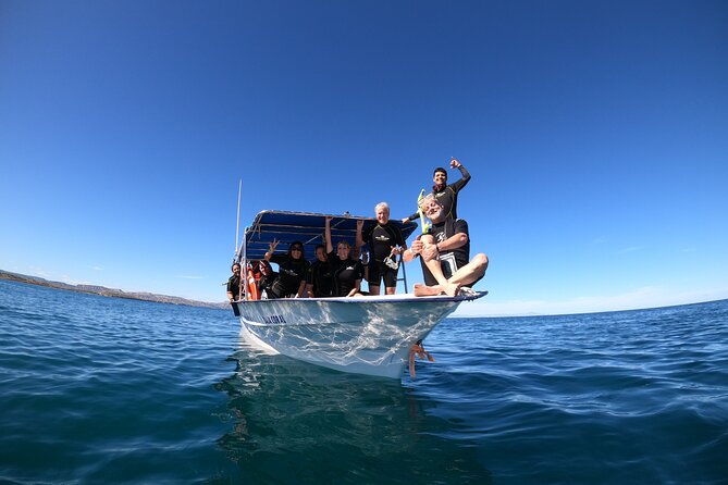La Paz Whale Shark Snorkeling Tour and Lunch From Los Cabos - Delays are possible, so pack patience