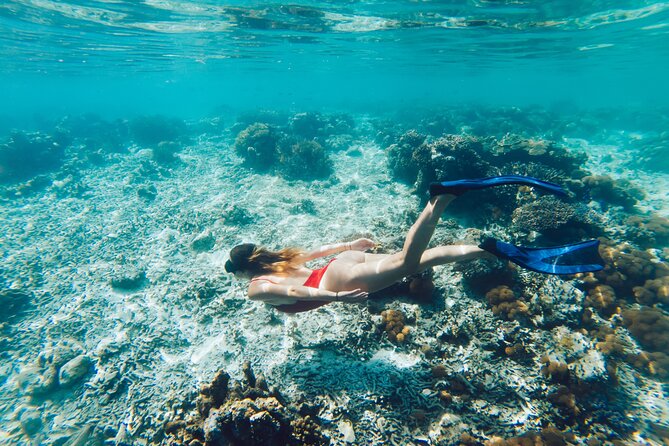 La Paz World Class Snorkeling in Balandras Hidden Beaches - Balandra is spectacular, but the exact access matters