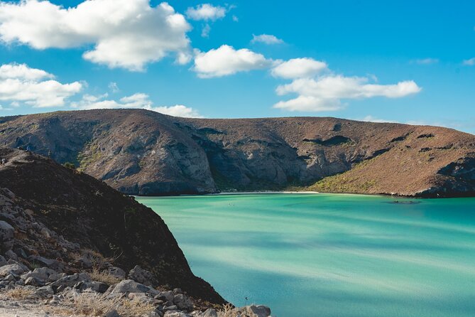 La Paz World Class Snorkeling in Balandras Hidden Beaches - Snorkeling, sea life, and the jellyfish question