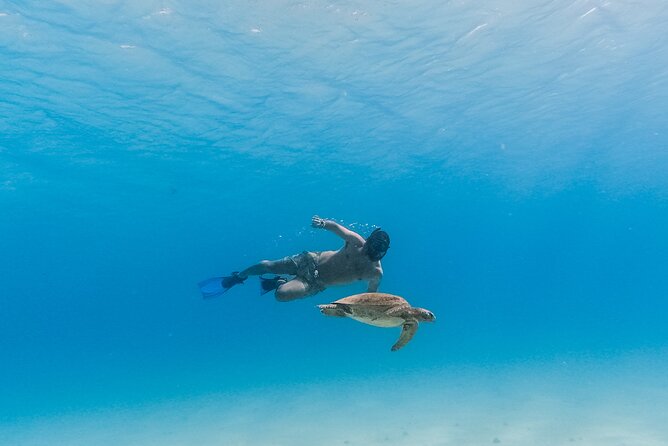 La Paz World Class Snorkeling in Balandras Hidden Beaches - Lunch, service, and what the $219 covers