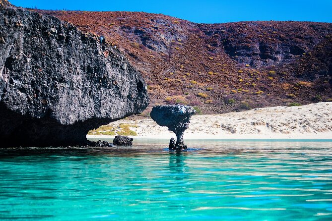 La Paz World Class Snorkeling in Balandras Hidden Beaches - Who should book this Balandra trip?